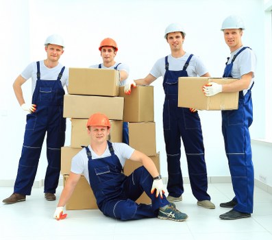 Professional man with van Charlton transport for business and household items